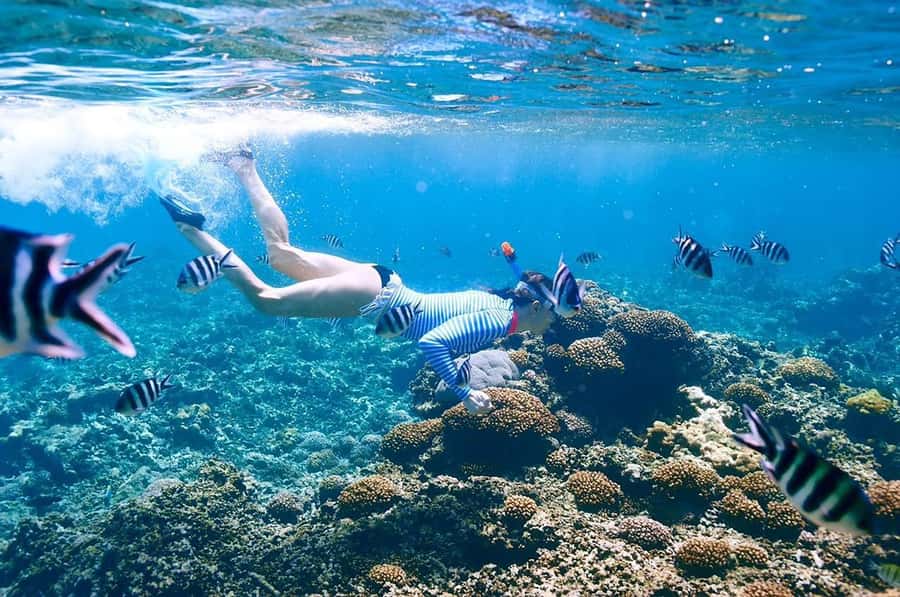 From Sharm: Ras Mohammed snorkeling cruise & optional diving - Is $31 good value for this day?