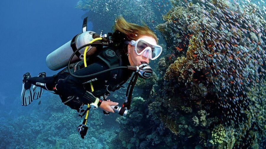 From Sharm: Ras Muhammed & White Island By Boat & intro Dive - What the boat day feels like