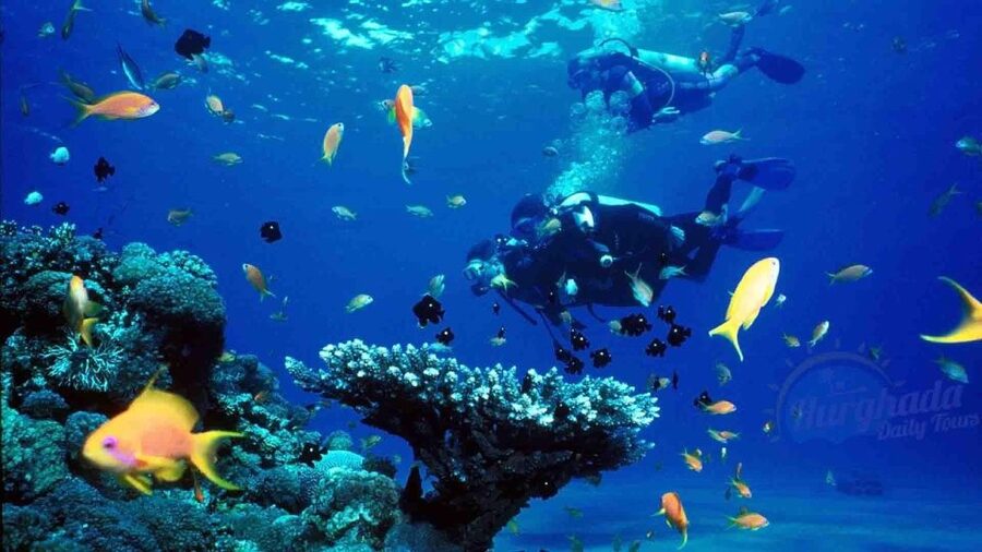 From Sharm: Ras Muhammed & White Island By Boat & intro Dive - The introductory scuba session