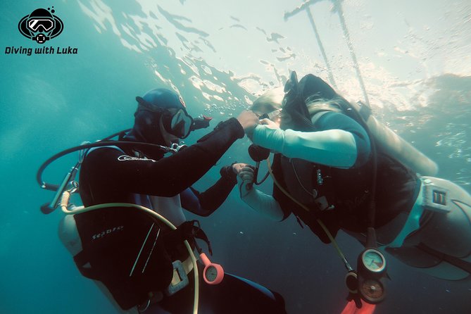 Full day diving with private guide, lunch drinks transportation - Two Red Sea sites in one full day