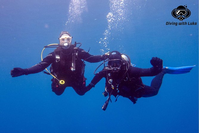 Full day diving with private guide, lunch drinks transportation - What the $81.10 price really covers