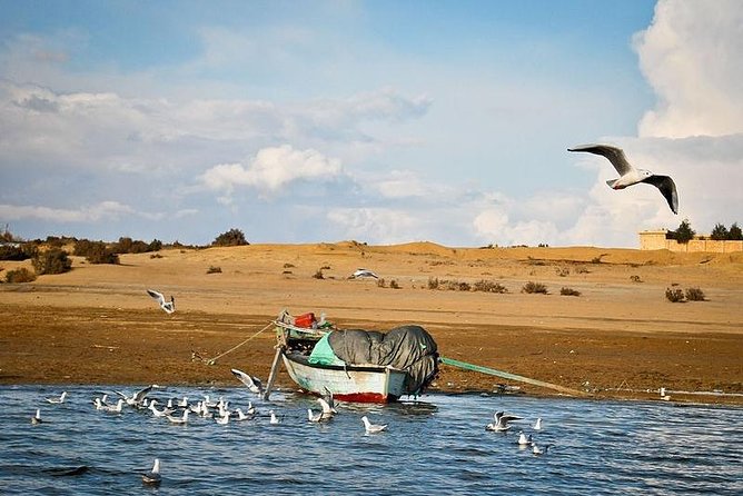Full-Day Fayoum Oasis and Waterfalls of Wadi El-Rayan Tour from Cairo - Key points at a glance