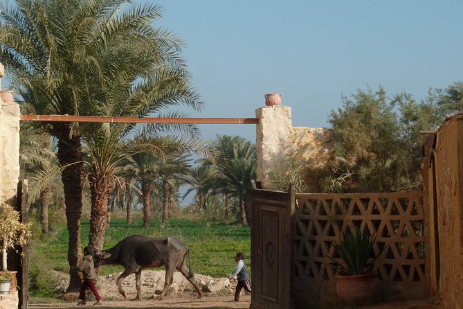 Full-Day Fayoum Oasis and Waterfalls of Wadi El-Rayan Tour from Cairo - A felucca ride with room for flexibility