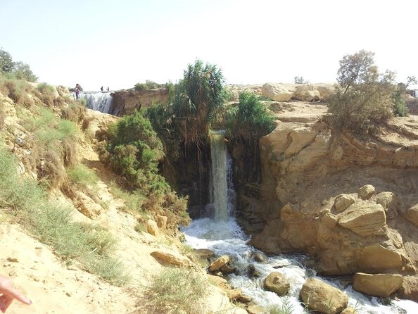 Full-Day Fayoum Oasis and Waterfalls of Wadi El-Rayan Tour from Cairo - Lake Qarun: birds, salt water, and a wide view