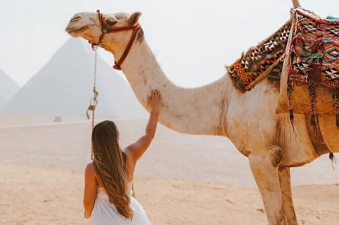Full Day Tour Giza Pyramids, Sphinx, Saqqara &Dahshur Pyramids - Giza, where the famous view begins