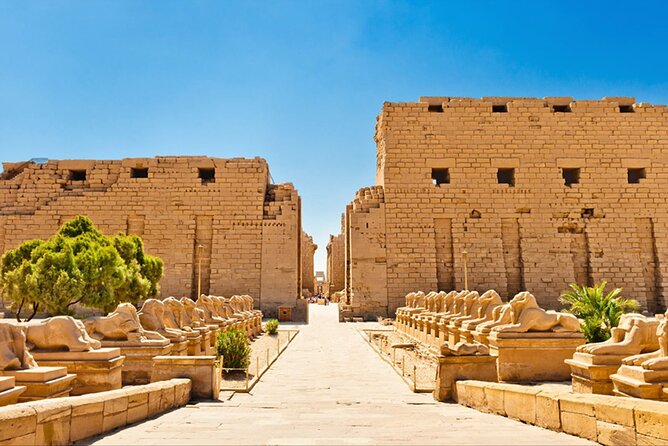Full Day Tour to East and West Banks of Luxor - The shopping stop you should discuss early
