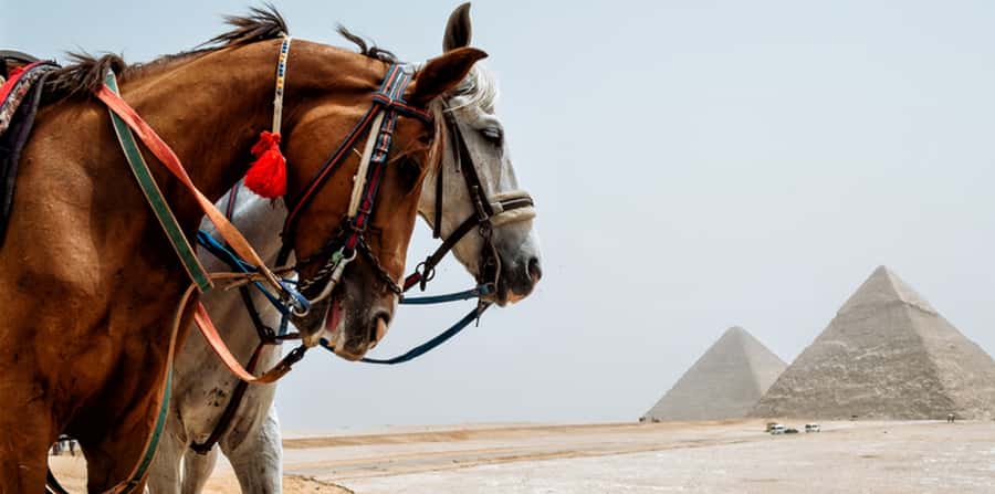 Giza: Arabian Horse Tour Around the Giza Pyramids - Should you book the Arabian horse tour?