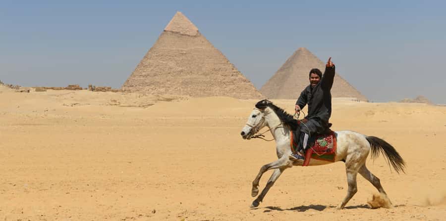 Giza: Arabian Horse Tour Around the Giza Pyramids - A closer look at the animals and riding style