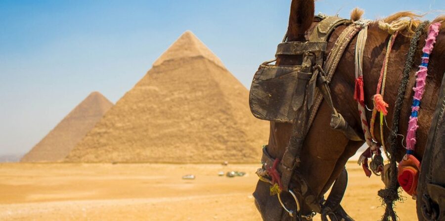 Giza: Arabian Horse Tour Around the Giza Pyramids - The one-hour camel ride problem