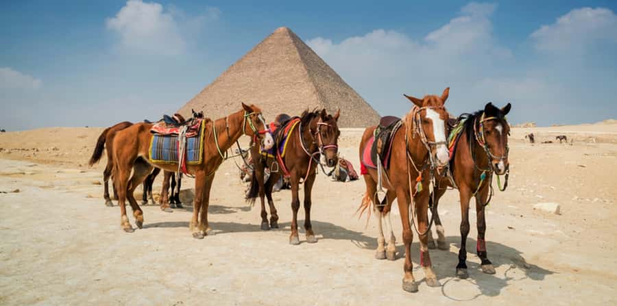 Giza: Arabian Horse Tour Around the Giza Pyramids - Who will enjoy this short Giza outing