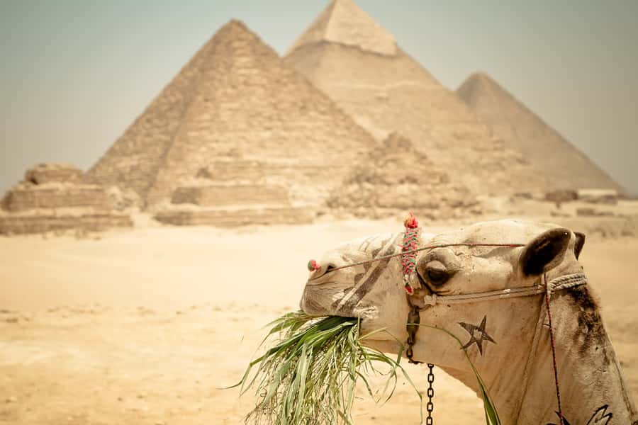 Giza Pyramids and Sphinx: Half-Day Private or Group Tour - Private or group tour: which works better?