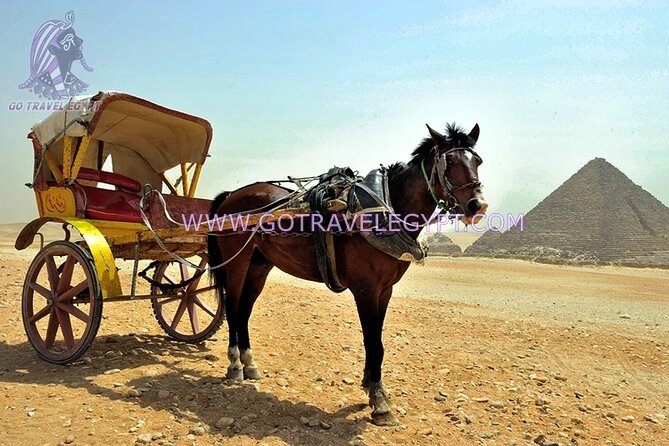 Giza Pyramids, Saqqara, Memphis and Dahshur Private quality trip - Memphis: Ramses II and the old capital
