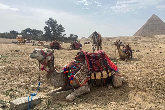 Giza Pyramids,Sphinx,Camel Ride,ATV Bike,Shopping, Dinner cruise - Is $22.05 good value?