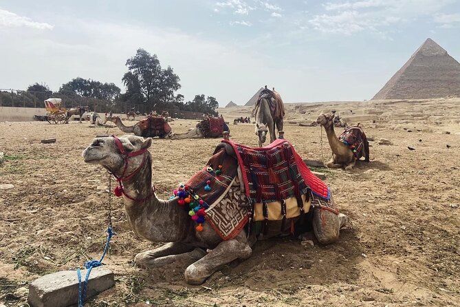 Giza Pyramids,Sphinx,Camel Ride,ATV Bike,Shopping, Dinner cruiseI - Shopping without losing control of the day