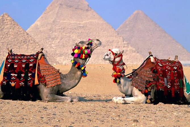 Giza Pyramids, Sphinx, Memphis, Saqqara, with private tour guide - Lunch, transport, and what the $40 price really covers