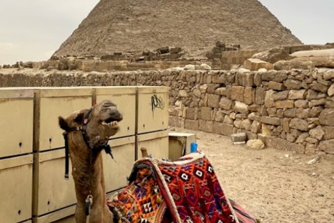 Giza Pyramids, The Egyptian Museum And Cairo Citadel-Mohamed Ali Mosque- Private - Finishing at the Muhammad Ali Mosque and Citadel