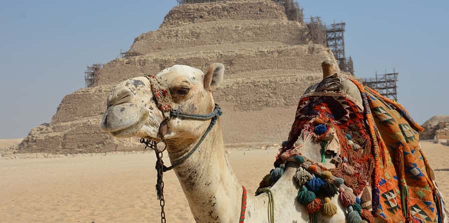 Giza: Sakkara, Memphis & Dahshur (Pyramid & Felucca Options) - Memphis, the old capital with oversized relics