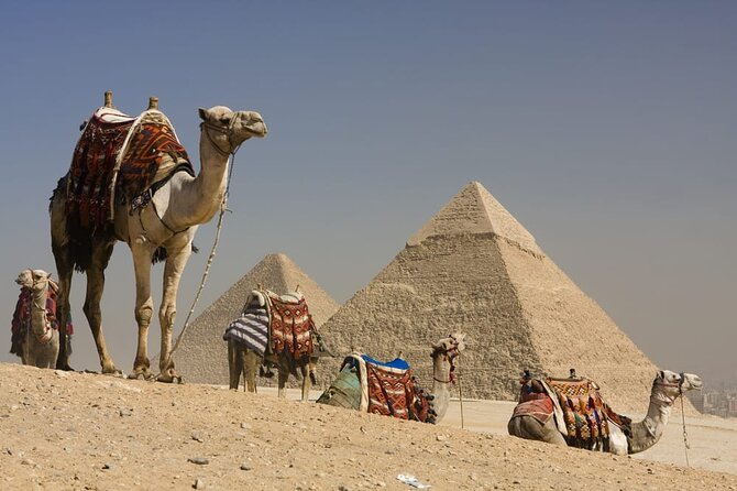 Grand Egyptian Museum All Inclusive Tour - The Grand Hall and Ramses II