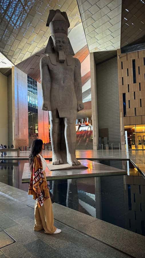 Grand Egyptian Museum Private Guided Tour(GEM) - What five hours really gives you