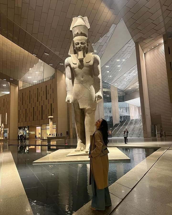 Grand Egyptian Museum Private Guided Tour(GEM) - Private transport, entry, and the $115 price