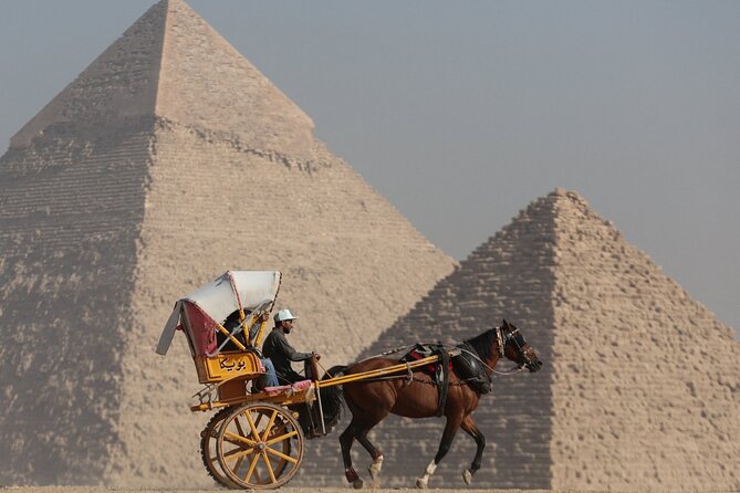 Great Grand Egyptian Museum with professional Egyptologist. - Who will get the most from this visit?