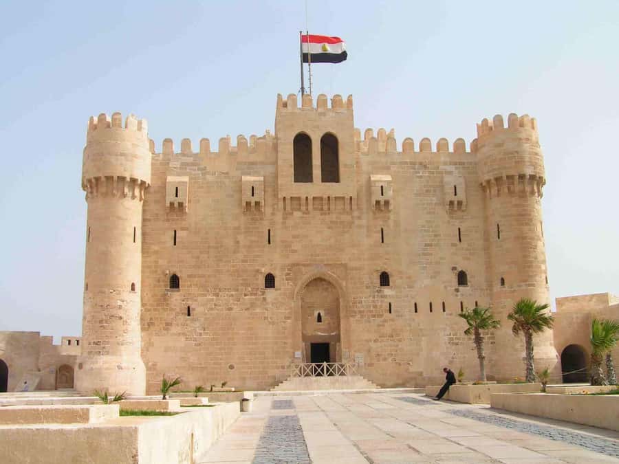 Group Tour top Things To Do In Alexandria From Cairo - The long return to Cairo