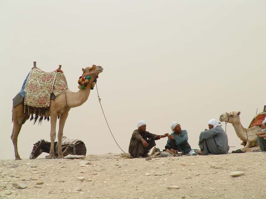 Half-Day Cairo Sightseeing Tour to Pyramids of Giza & Sphinx - Hotel pickup and the ride to Giza