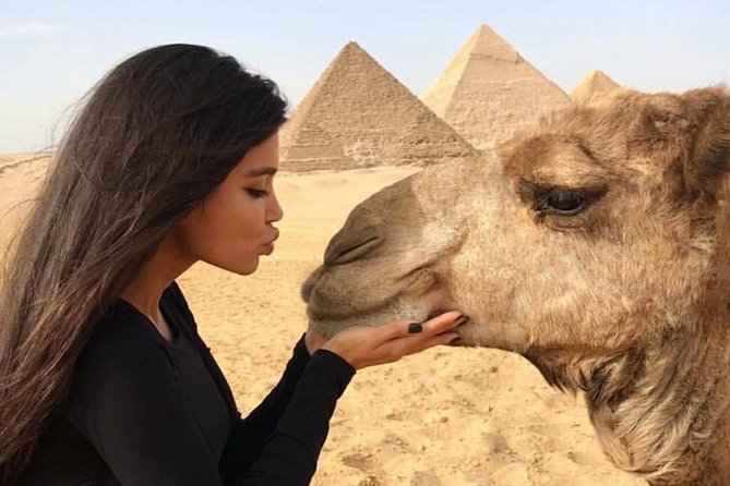 Half Day Private Tour to Giza Pyramids Sphinx - Why this four-hour Giza visit works