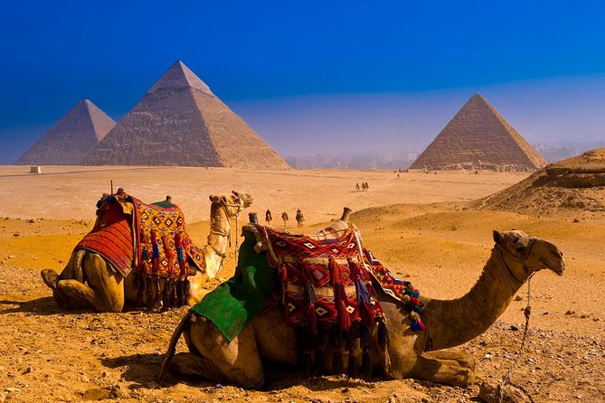 Half dayTour Pyramids of Giza Sphinx including Camel ride - The papyrus institute adds a commercial stop