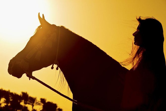 Horse Riding Tour 2 Hours on Sea And Desert & Transfer -Hurghada - What the guides add to the experience