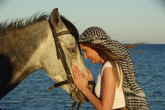 Horse Riding Tour 2 Hours on Sea And Desert & Transfer -Hurghada - Safety, children, and who should skip it