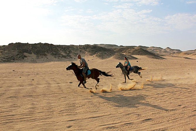 Horse Riding Tour 2 Hours on Sea And Desert & Transfer -Hurghada - Drinks, photos, and the small comforts