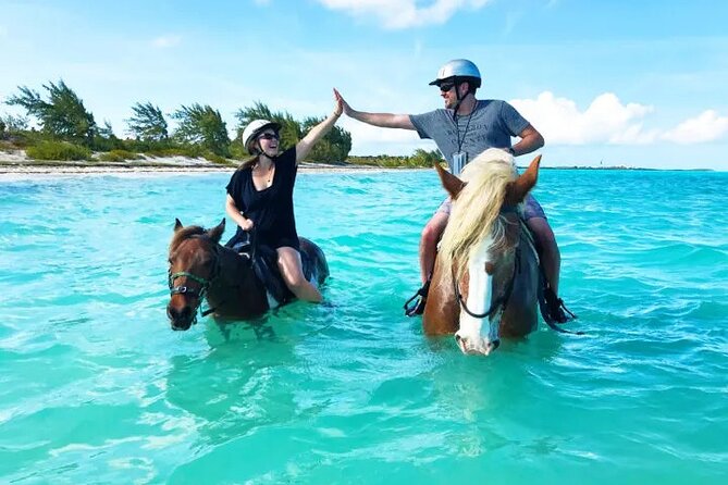 Horseback Riding with Pickup and Drop-off from Sharm El Sheikh - The sea section and what it feels like in practice