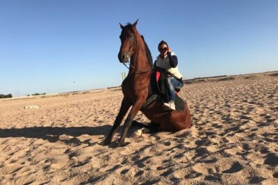 Horseback Riding with Pickup and Drop-off from Sharm El Sheikh