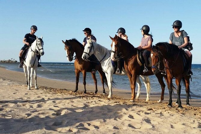 Horseback Riding with Pickup and Drop-off from Sharm El Sheikh - One hour or two hours?