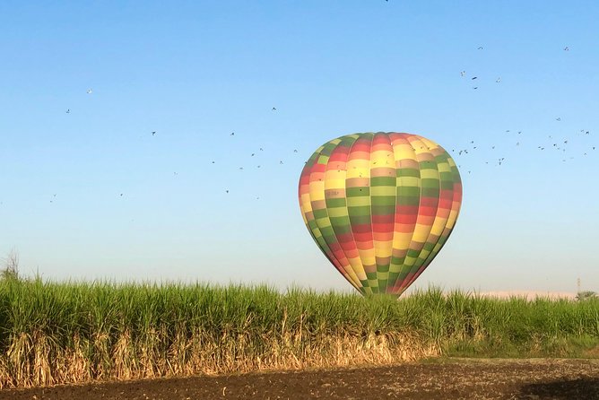 Hot Air Balloon Ride in Luxor Egypt with Transfers Included - Who will enjoy this Luxor flight most