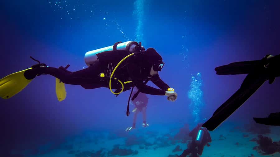 Hurghada: 1, 2, 3, 4, or, 5-Day Scuba Diving Package - Two Red Sea reef sessions in one day