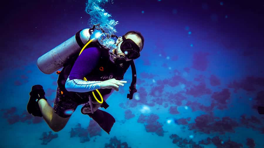 Hurghada: 1, 2, 3, 4, or, 5-Day Scuba Diving Package - The boat and facilities: the honest trade-off