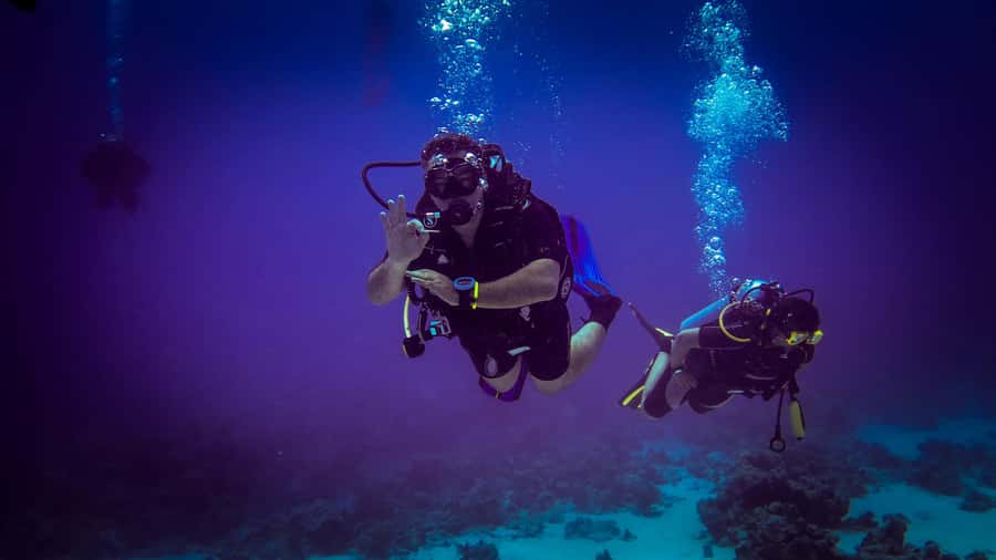 Hurghada: 1, 2, 3, 4, or, 5-Day Scuba Diving Package - Who should choose one day or several?