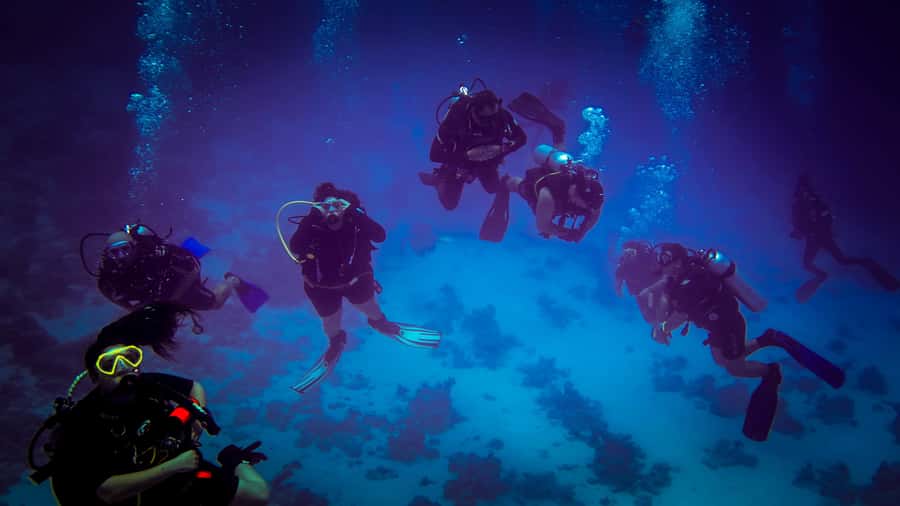 Hurghada: 1, 2, 3, 4, or, 5-Day Scuba Diving Package - What the strongest parts of the experience deliver
