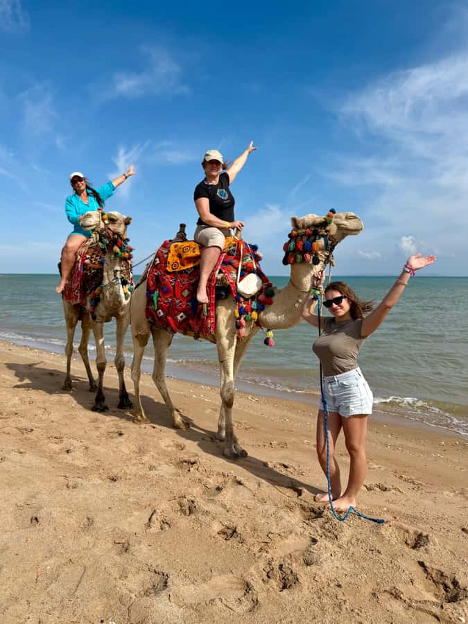 Hurghada: 1-Hour Desert & Beach Camel Ride with Transfers - Starting at Lucky Horses Stable