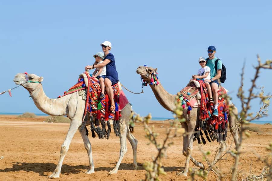 Hurghada: 1-Hour Desert & Beach Camel Ride with Transfers - Friendly guides and useful photo help