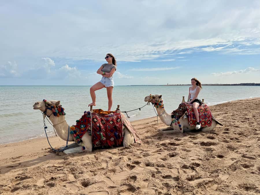 Hurghada: 1-Hour Desert & Beach Camel Ride with Transfers - Is $39 a fair price?