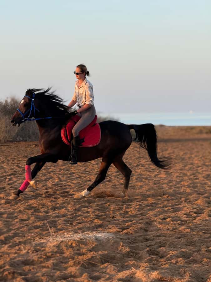 Hurghada: 1-Hour Desert & Beach Camel Ride with Transfers - Comfort, age limits, and animal care