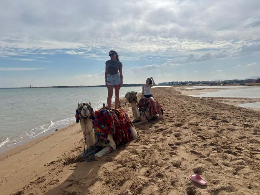 Hurghada: 1-Hour Desert & Beach Camel Ride with Transfers - Should you book it?
