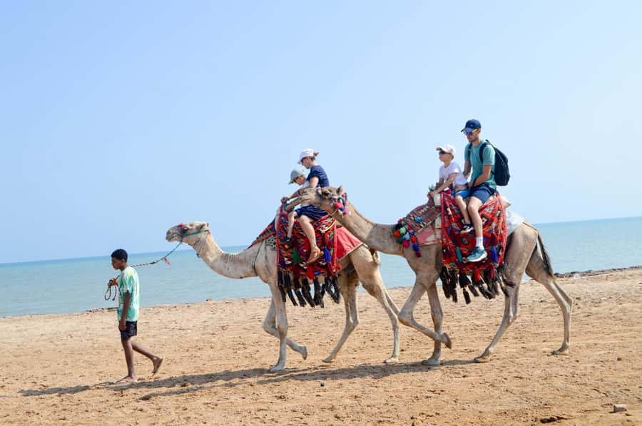 Hurghada: 1-Hour Desert & Beach Camel Ride with Transfers - One hour from desert tracks to Red Sea shore
