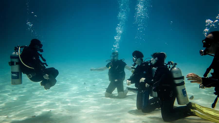 Hurghada: 3-Day PADI Open Water Diving Course - Day two: repetition, buoyancy, and building confidence