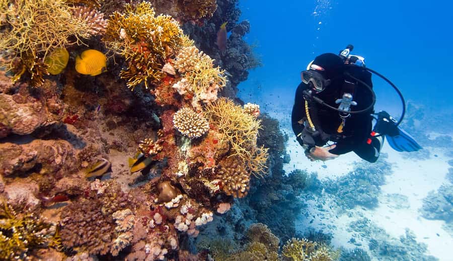 Hurghada: 3-Day PADI Open Water Diving Course - Should you book the Hurghada PADI course?