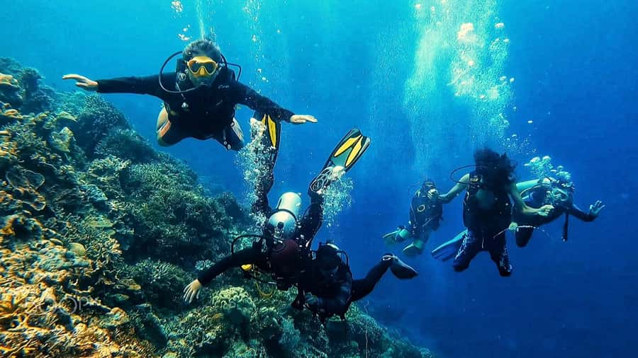 Hurghada: 3-Day PADI Open Water Diving Course - Day one: equipment, basic skills, and your first underwater session