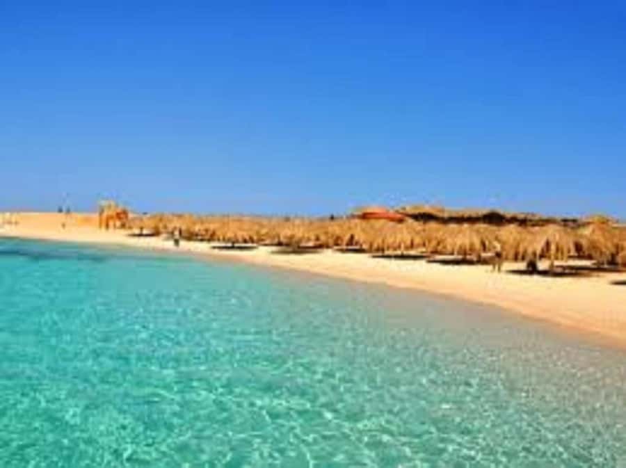 Hurghada: 3-Island Speedboat, Dolphin Watching & Snorkeling - Two reef stops, including the wreck site